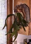 Staghorn Fern